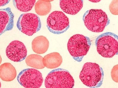 NAD+ Buy | Shaanxi BLOOM Tech Co., Ltd NAD+ Buy | Shaanxi BLOOM Tech Co., Ltd