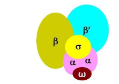 GS-441524 Price | Shaanxi BLOOM Tech Co., Ltd GS-441524 Price | Shaanxi BLOOM Tech Co., Ltd