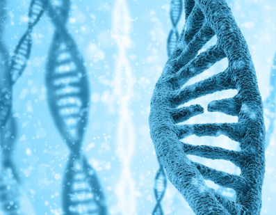 SLU-PP-332 Cost | Shaanxi BLOOM Tech Co., Ltd SLU-PP-332 Cost | Shaanxi BLOOM Tech Co., Ltd