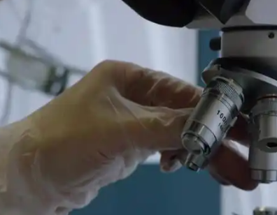 SLU-PP-332 Buy | Shaanxi BLOOM Tech Co., Ltd SLU-PP-332 Buy | Shaanxi BLOOM Tech Co., Ltd