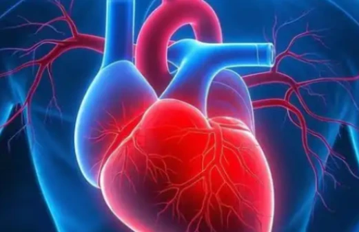 Angiotensin uses | Shaanxi BLOOM Tech Co., Ltd Angiotensin uses | Shaanxi BLOOM Tech Co., Ltd